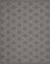 Load image into Gallery viewer, Nourison Cozumel 9&#39; x 12&#39; Area Rug CZM01 Dark Grey
