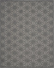 Load image into Gallery viewer, Nourison Cozumel 8&#39; x 10&#39; Area Rug CZM01 Dark Grey
