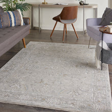 Load image into Gallery viewer, Nourison Infinite 4&#39; x 6&#39; Area Rug IFT01 Lt Grey
