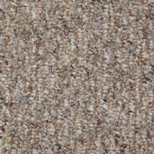 Load image into Gallery viewer, Shaw Pembrooke Carpet - 703
