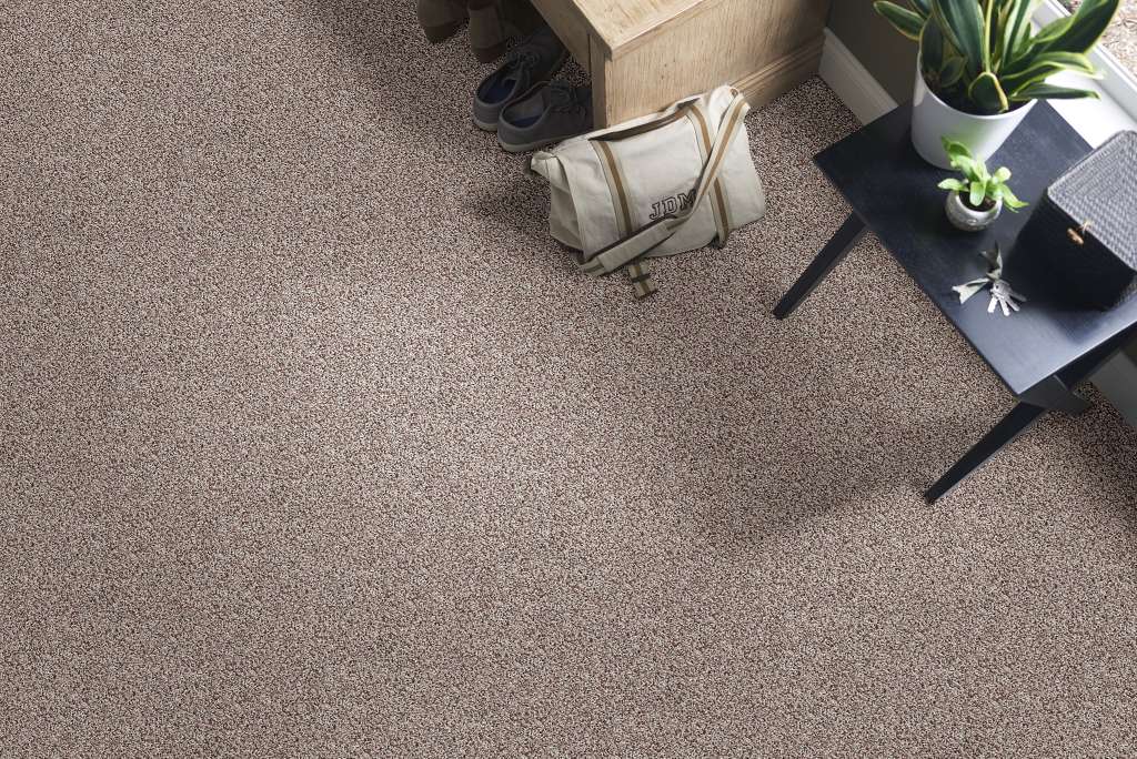 Shaw Color Flair Residential Carpet - Toast